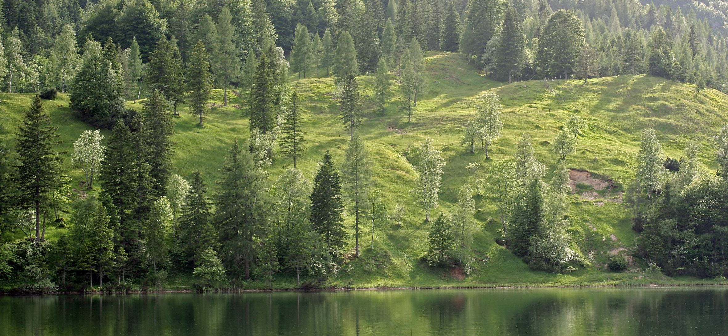 Praxis für chinesische Medizin